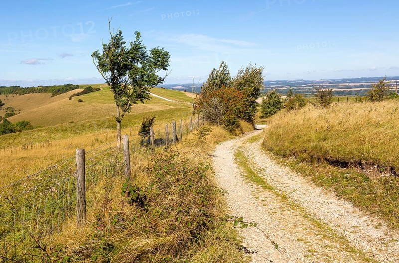 Track along top of chalk scarp escarpment slope of Inkpen Hill, at Walbury Camp, Berkshire, England, UK