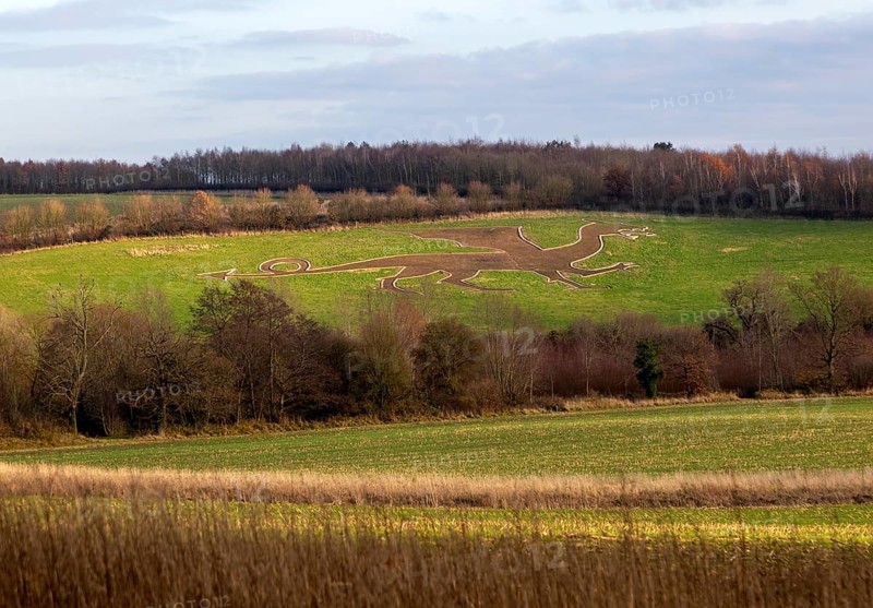 The Old Bures Dragon image etched into hillside of grass field, Bures, Suffolk, England, UK