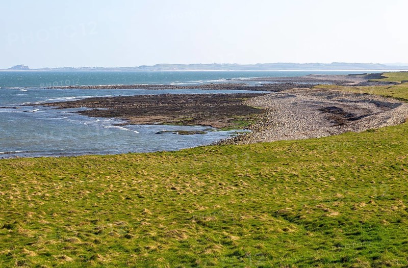 Coastline landscape scenery looking south, Holy Island, Lindisfarne, Northumberland, England, UK
