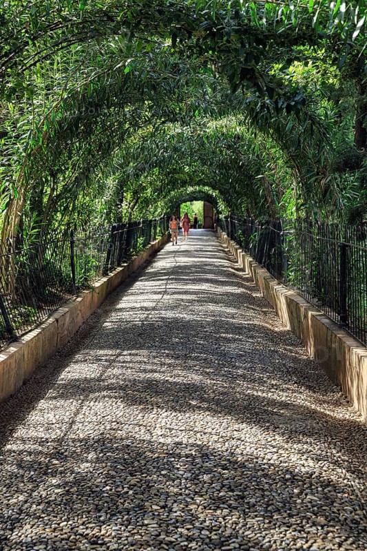 Green tunnel, walker on footpath with canopy, Generalife Gardens, Alhambra, Granada, Spain, Europe
