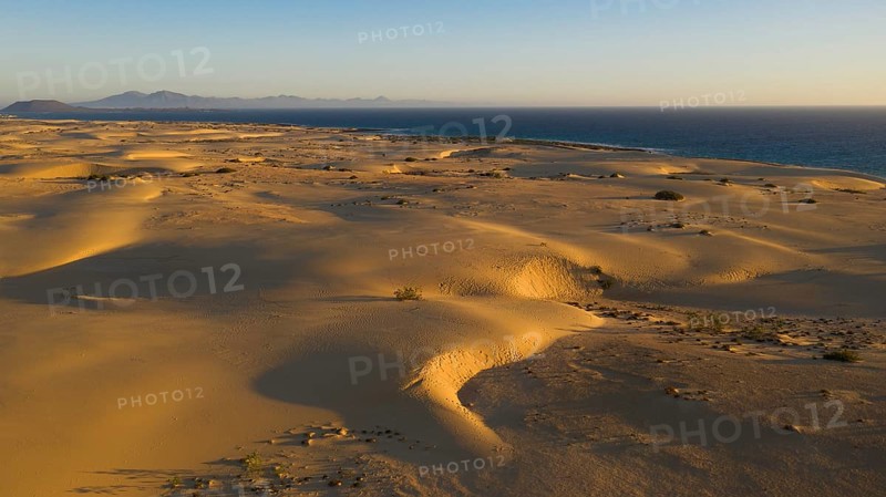 Sand dunes near Corralejo, shifting sand dunes, Fuerteventura, Canary Islands, Spain, Europe
