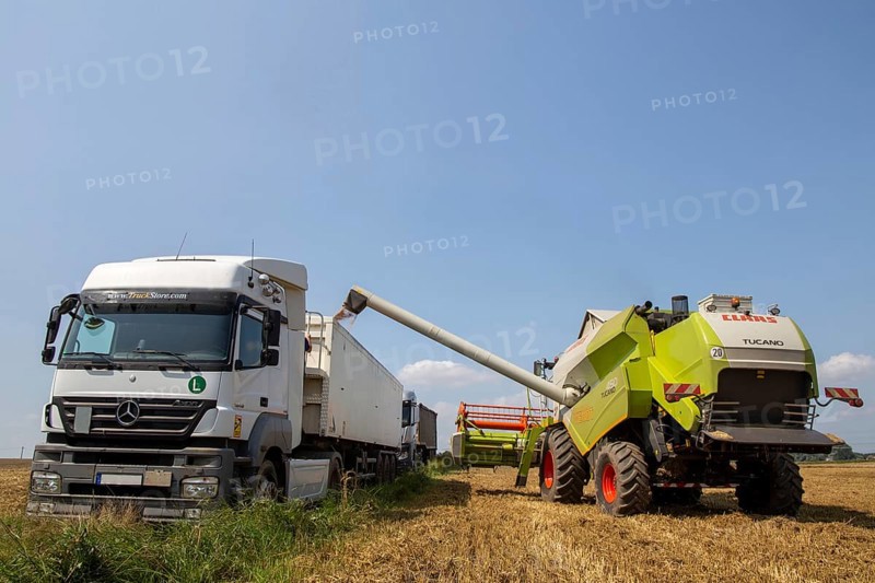 Grain harvest near Hockenheim, Baden-Wuerttemberg
