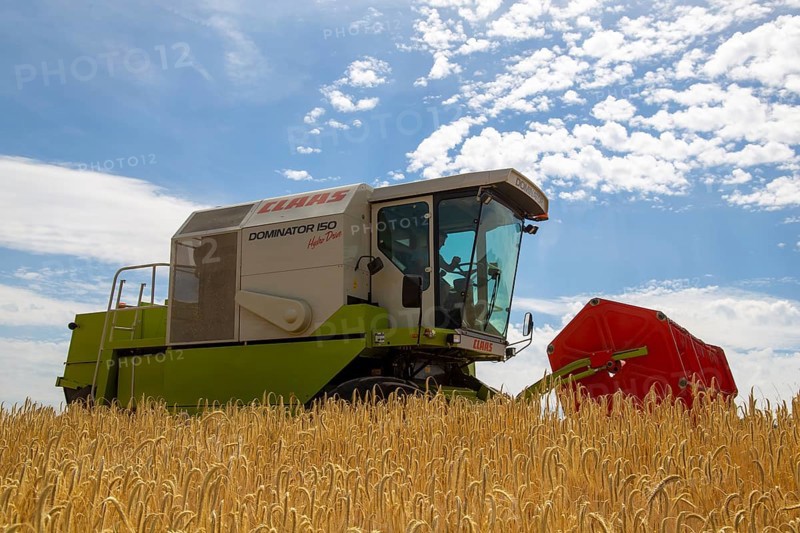 Grain harvest in the district of Bad Duerkheim (Rhineland-Palatinate)