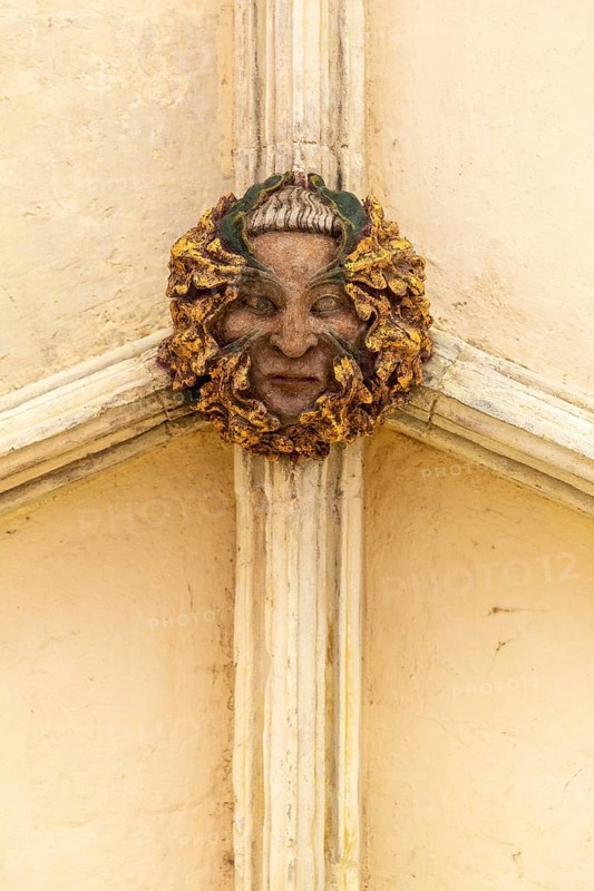Roof boss face of green or wild man in cloisters, Norwich Cathedral, Norfolk, England, UK