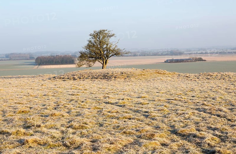 Bronze Age bowl barrow on Windmill Hill, a Neolithic causewayed enclosure, near Avebury, Wiltshire, England, UK