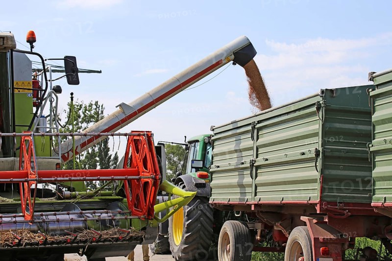 Agriculture grain harvest (Rhineland-Palatinate, July 2020)