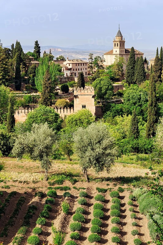Generalife Gardens, historic gardens, Alhambra, Granada, Spain, Europe