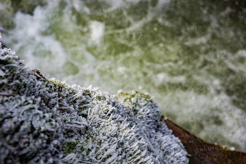 Severe frost has formed bizarre ice formations in the riverbed of the Gottleuba. Frozen spray covers the moss carpets on the rocks, Bergieshuebel, Saxony, Germany, Europe