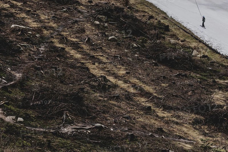 A skier uses a platter lift next to a deforested area, taken on a ski slope in the Jizera Mountains ski area near Albrechtice v Jizerskych Horach, 05.02.2024. The Czech low mountain range with its ski area is affected by increasingly warmer and shorter winters