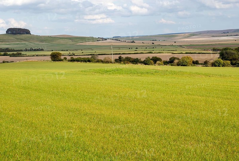 Remains of King's Play Hill neolithic Long Barrow in field near Heddington, England, UK chalk landscape North Wessex Downs AONB