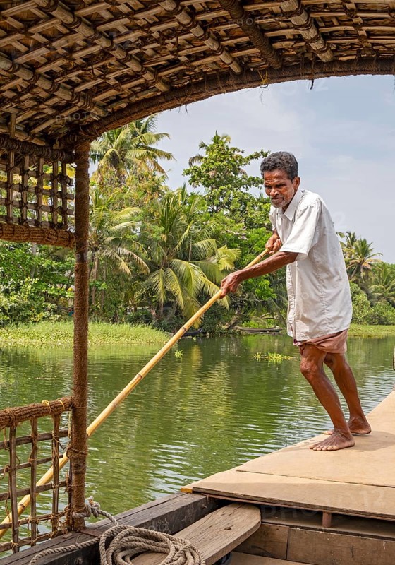 A man navigates a boat through the canals of the Kerala Backwaters using a long pole, Vembanad Lake, Kerala, India, Asia