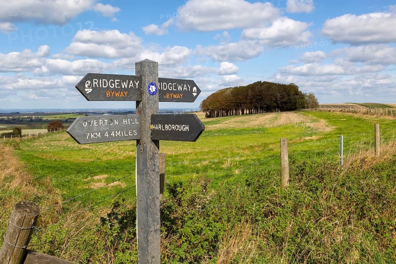 Ridgeway long distance footpath signpost on chalk scarp slope Hackpen Hill, Wiltshire, England, Uk