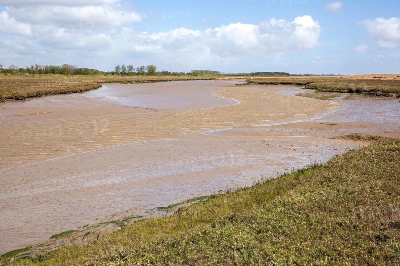 Barthorp's Creek a tidal tributary near the mouth of the River Ore at low tide, Hollesley, Suffolk, England, UK