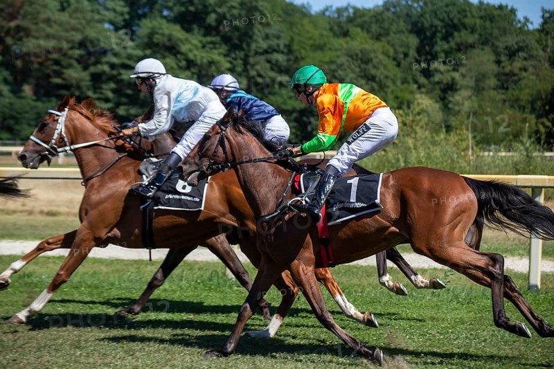 Race day at the racecourse in Hassloch, Palatinate. Prize of the Sparkasse Rhein-Haardt (Category E, 2, 200 metres)