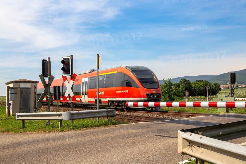 A train of the Verkehrsbetriebe Rhein-Neckar (VRN) near Neustadt an der Weinstrasse