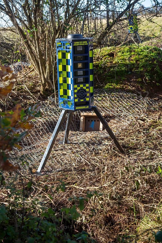 Eviction of badgers clearance of badger sett using metal fencing and one way exit gates, part of HS2 project near Kenilworth, Warwickshire, England, November 2020. Armadillo Videoguard surveillance robots used to observe site and detect protestors