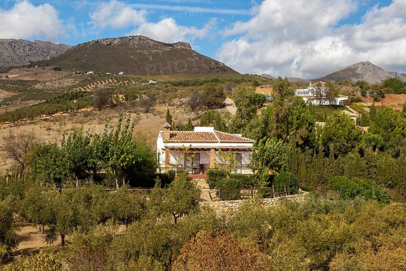 Landscape of scattered houses and limestone mountains view from Zalia, La Axarquia, Andalusia, Spain, Europe