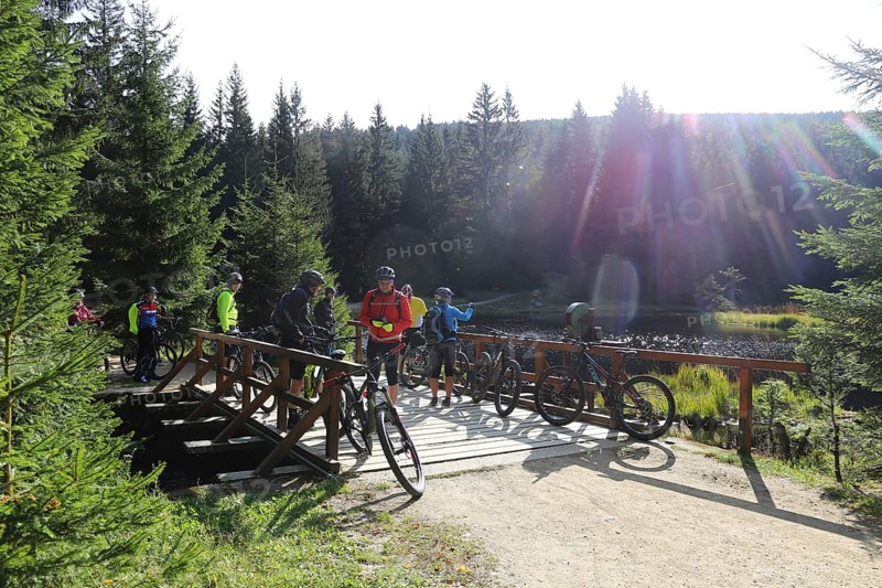 Mountain bike tour through the Bavarian Forest with the DAV Summit Club: stopover at the small Arbersee lake