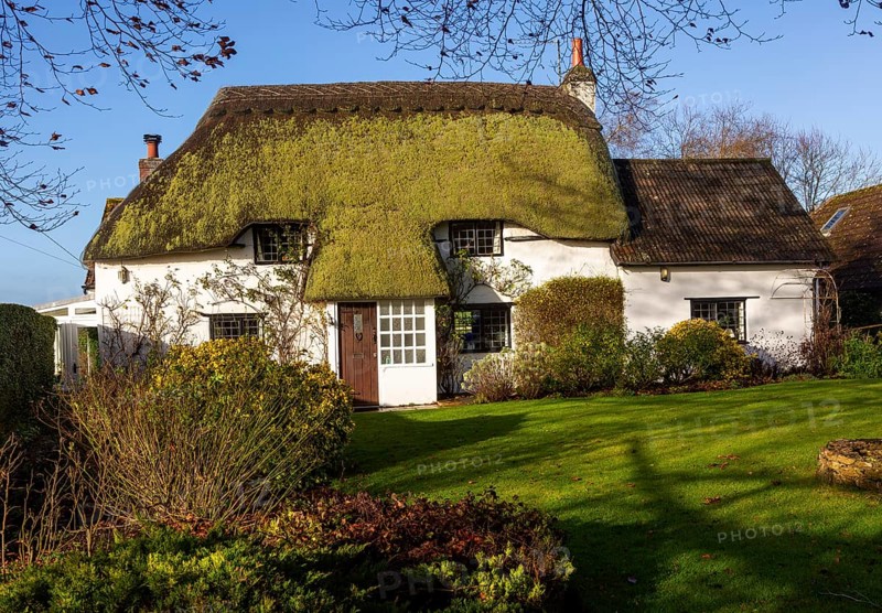 Pretty thatched country cottage home with green moss growing on thatch, Cherhill, Wiltshire, England, UK