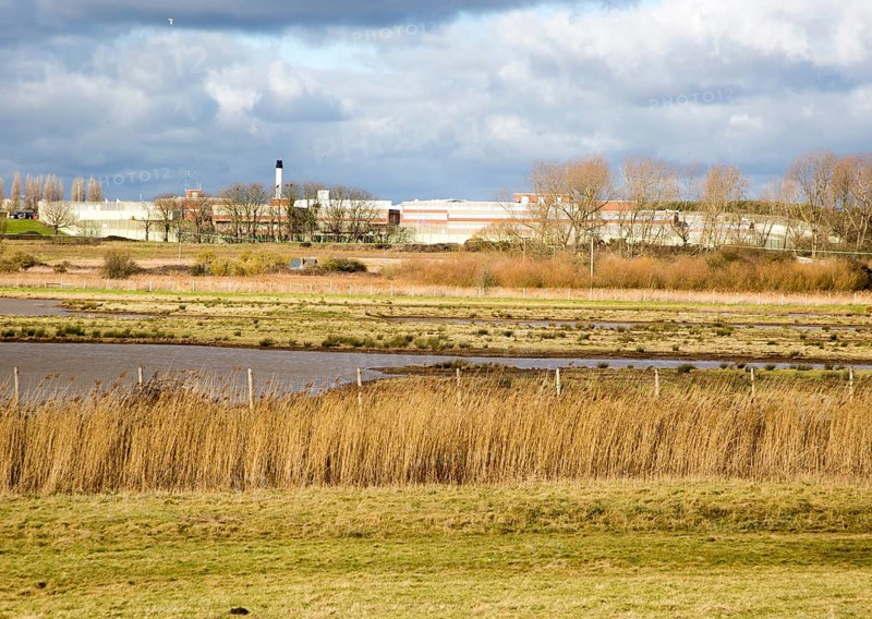Wetland marshes landscape next to HMP Warren Hill prison, Hollesley Bay, Suffolk, England, UK