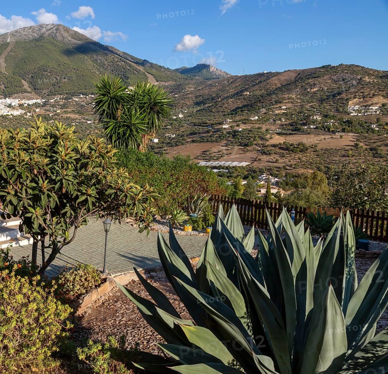 View over garden small hotel view to Alcaucin vitally and Maroma mountain upper left, Sierra de Tejeda, Axarquia, Spain, Europe