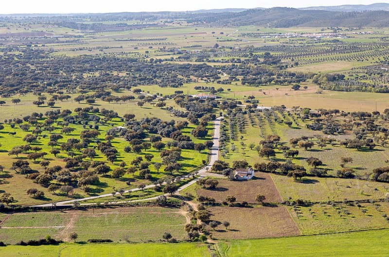 View over landscape from village of Monsaraz, Alto Alentejo, Portugal, southern Europe view north over countryside fields, farms of Montado farming with oak trees, Europe