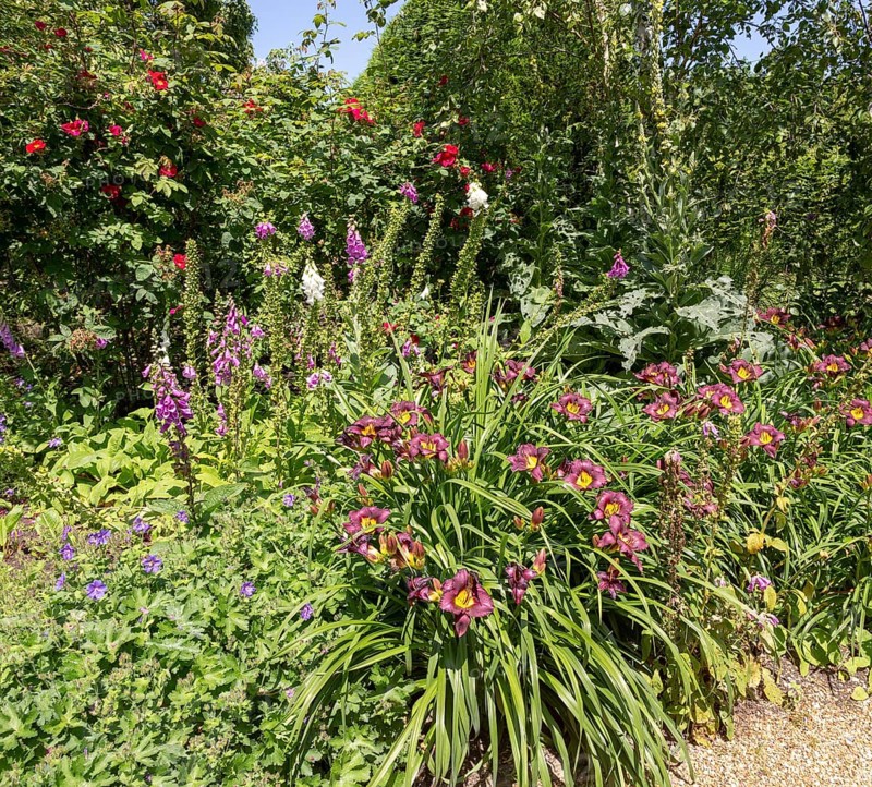 Royal Horticultural Society gardens at Hyde Hall, Essex, England, UK
