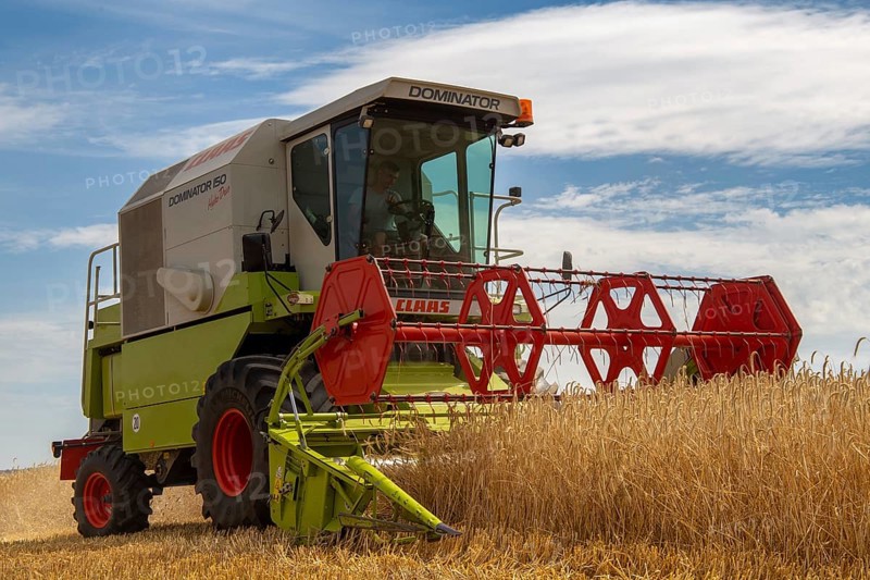 Grain harvest in the district of Bad Duerkheim (Rhineland-Palatinate)