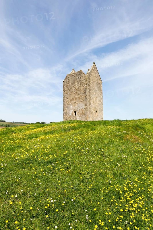 Dovecote ruin famous local landmark town of Bruton, Somerset, England, UK