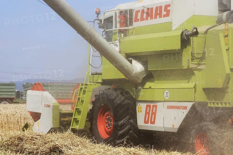 Agriculture grain harvest (Rhineland-Palatinate, July 2020)