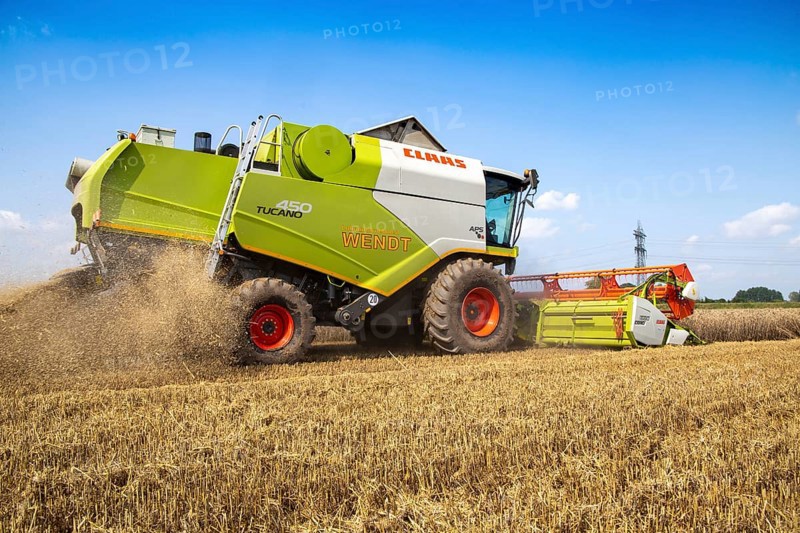 Grain harvest near Hockenheim, Baden-Wuerttemberg