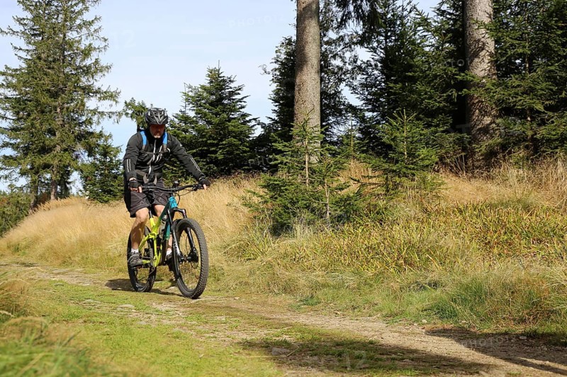 Mountain bike tour through the Bavarian Forest with the DAV Summit Club: Mountain bikers in the Bohemian Forest near the border with Bavaria