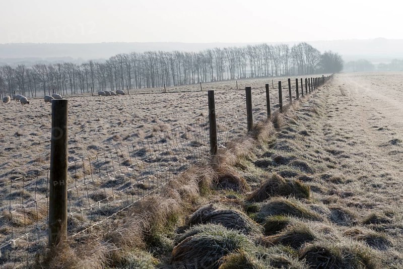 Frosty fence leading downhill from Windmill Hill, a Neolithic causewayed enclosure, near Avebury, Wiltshire, England, UK