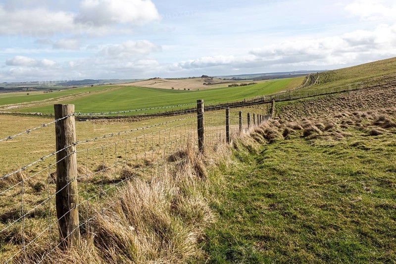 Undulating countryside upland chalk landscape in winter downland area of North Wessex Downs, near Cherhill, Wiltshire, England, UK