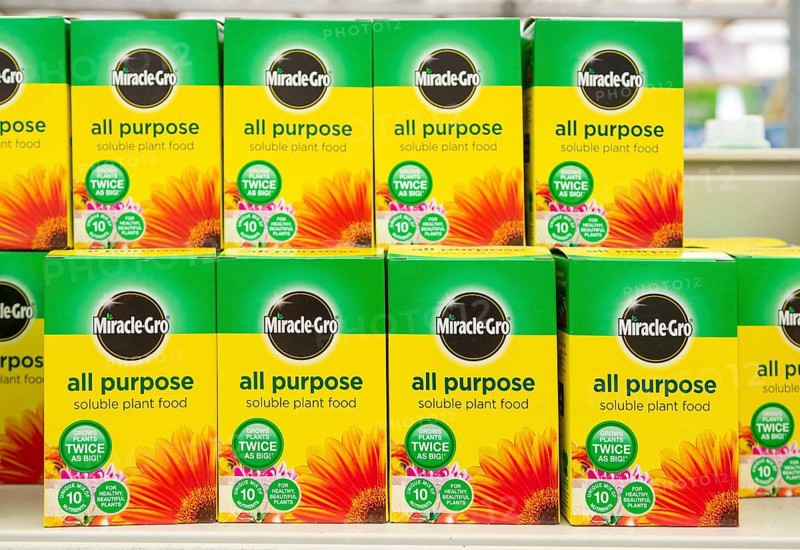 Cardboard boxes of Miracle-Grow all purpose soluble plant food on shelf display in garden centre, UK