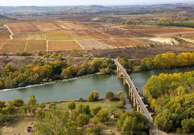 View over fields of grapevines and medieval bridge crossing River Ebro, San Vicente de la Sonsierra, La Rioja, Spain, Europe