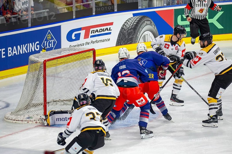 Game scene Adler Mannheim against Rouen Dragons (Champions Hockey League)