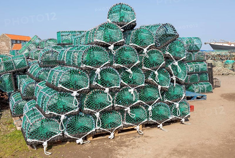 Piles of new lobster pots on Holy Island, Lindisfarne, Northumberland, England, UK