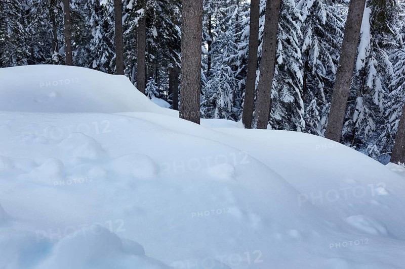 High winter at Burgstall, Winklern, Moelltal, Carinthia, Austria, Europe