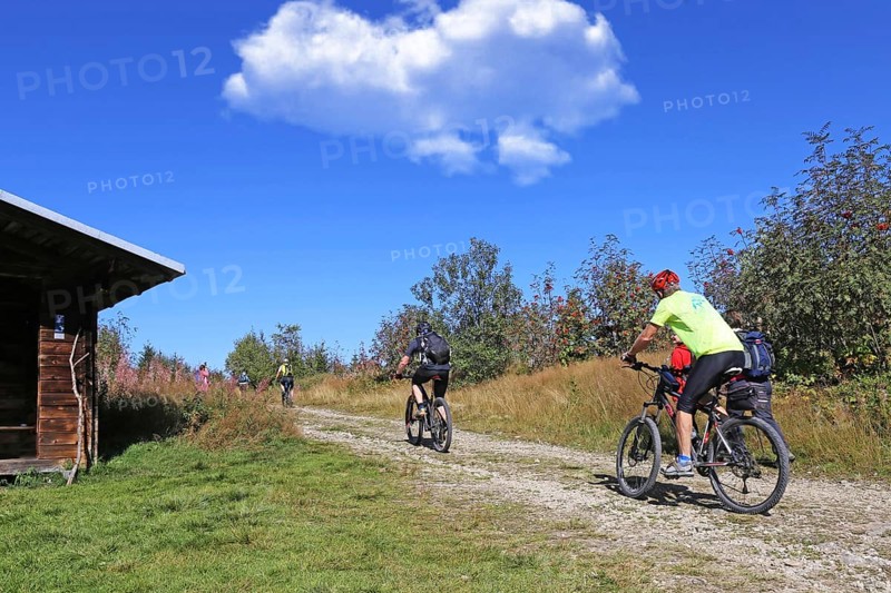 Mountain bike tour through the Bavarian Forest with the DAV Summit Club: Mountain bikers on the ascent to the Grosser Arber