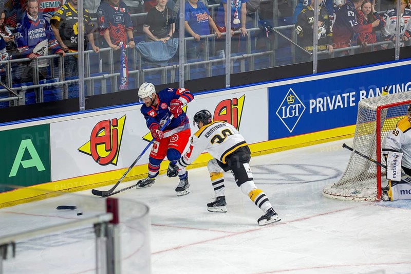 Game scene Adler Mannheim against Rouen Dragons (Champions Hockey League)