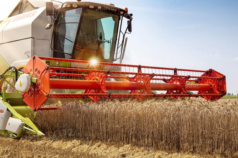 Grain harvest near Hockenheim, Baden-Wuerttemberg