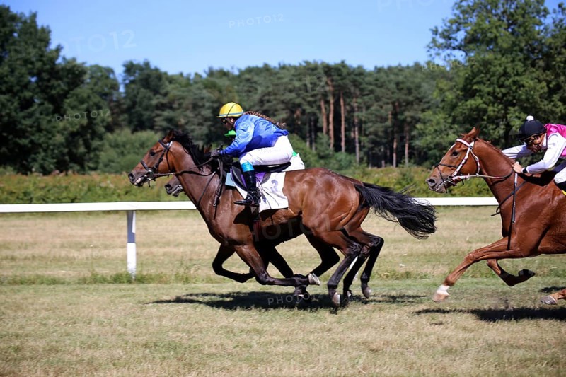 Horse racing at the Hassloch racecourse, Palatinate
