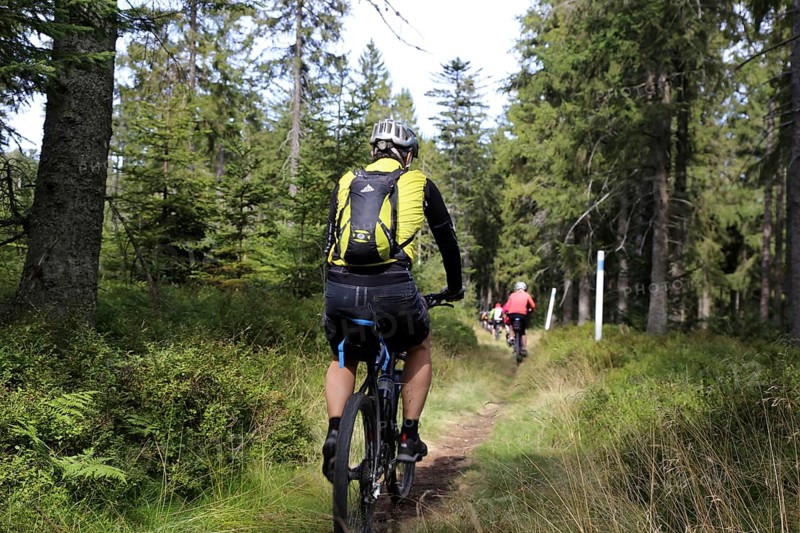 Mountain bike tour through the Bavarian Forest with the DAV Summit Club: Mountain bikers in the Bohemian Forest near the border with Bavaria