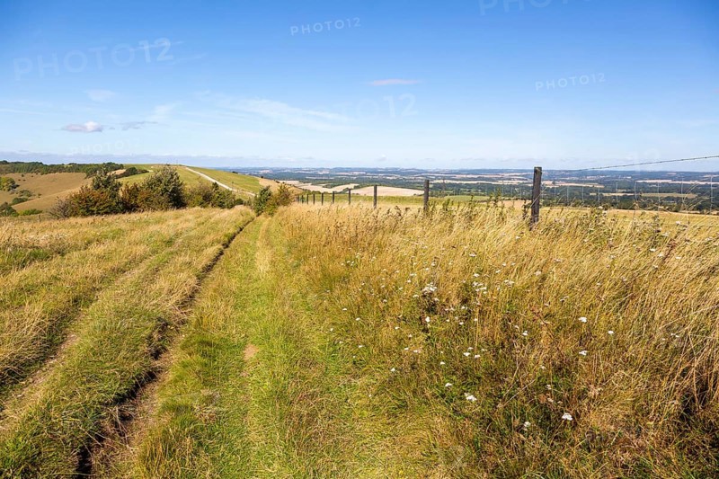 Track along top of chalk scarp escarpment slope of Inkpen Hill, at Walbury Camp, Berkshire, England, UK
