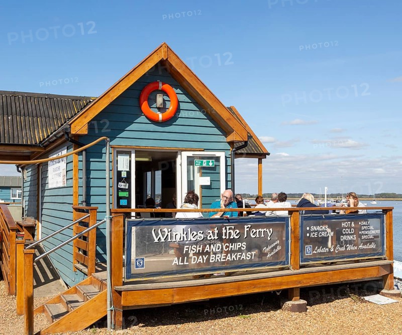Winkles at the Ferry cafe at Felixstowe Ferry, Suffolk, England, UK