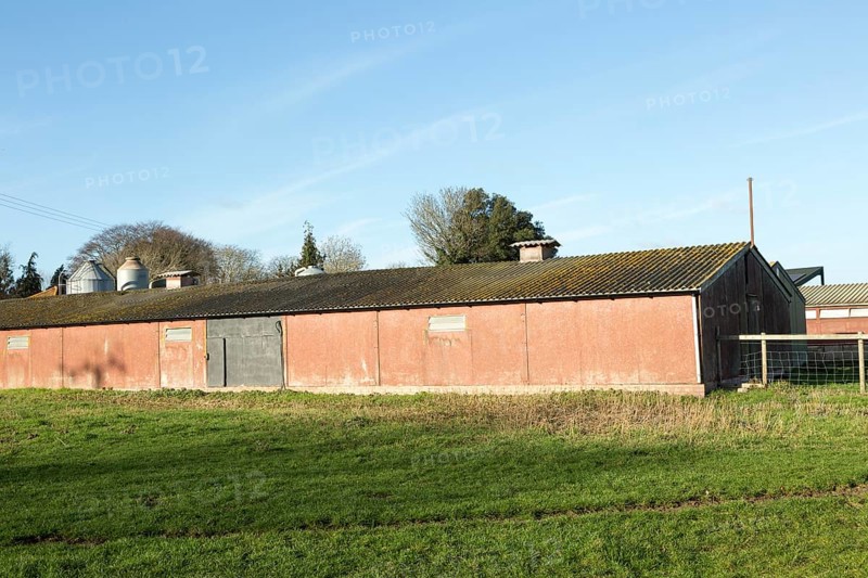 Exterior of indoor pig unit in farmyard at Sutton, Suffolk, England, UK