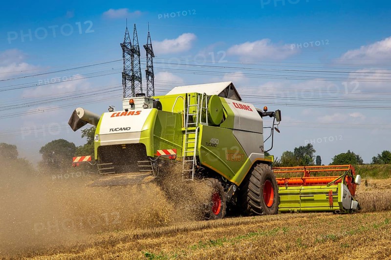 Grain harvest near Hockenheim, Baden-Wuerttemberg