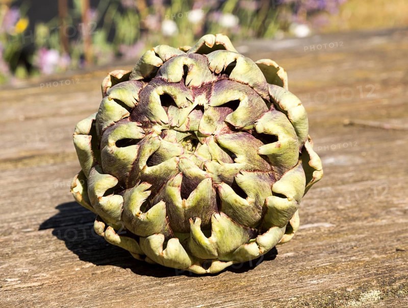 Close up of leaves at top of globe artichoke fruit on wooden table surface