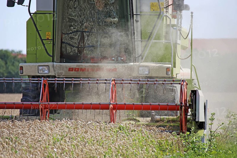 Agriculture grain harvest (Rhineland-Palatinate, July 2020)